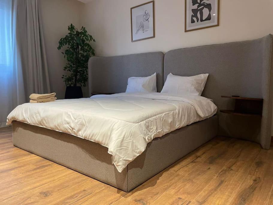 Apartment 3 Bedroom In Festival