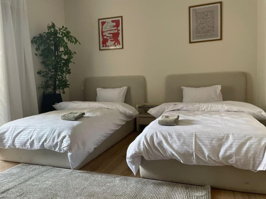3 Bedroom In Festival * Cairo